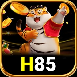 h85 gurita4d